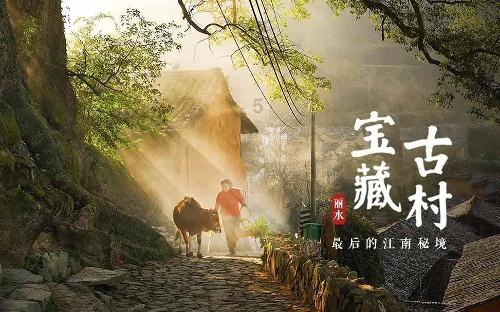燃烧吧大脑免广告最新版